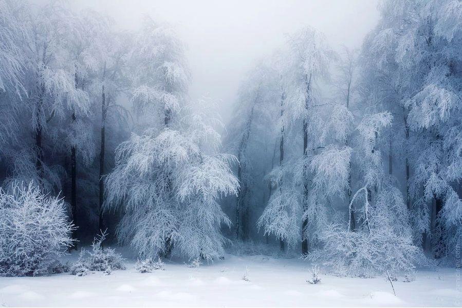 长沙大雪深夜来袭,南航保障旅客安全出行