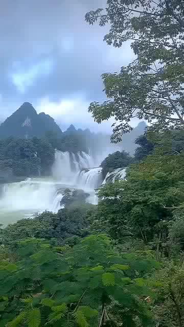 逃离野丛之森